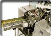 Bag Filling Packing Machine