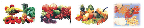 Packaging Machinery